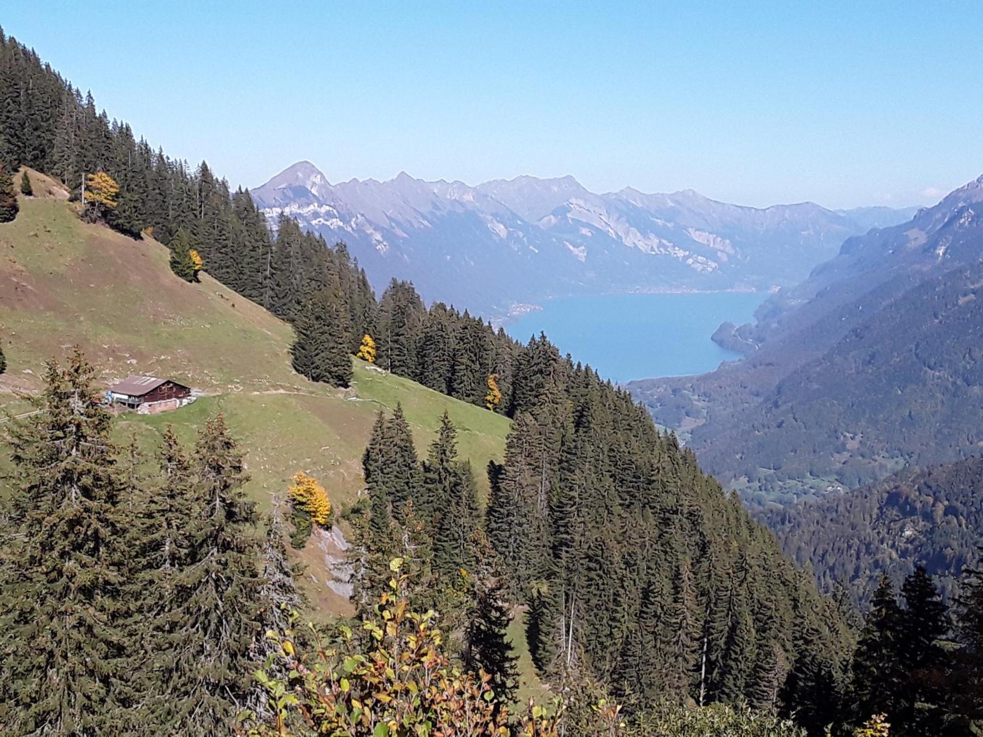 Apartamento Desalpes Saxeten Exterior foto
